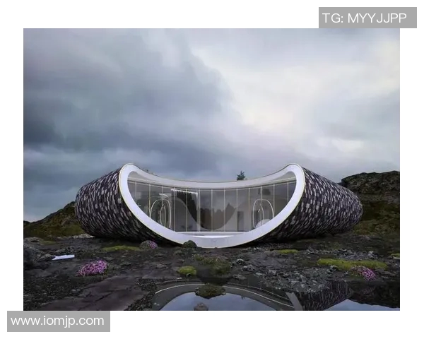 足球明星们的豪宅揭秘：奢华生活背后的故事与设计理念